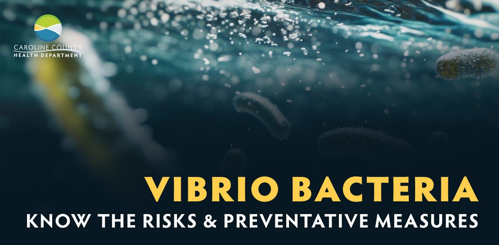 Vibrio Bacteria in Chesapeake Bay Waters: What Caroline County Residents Should Know
